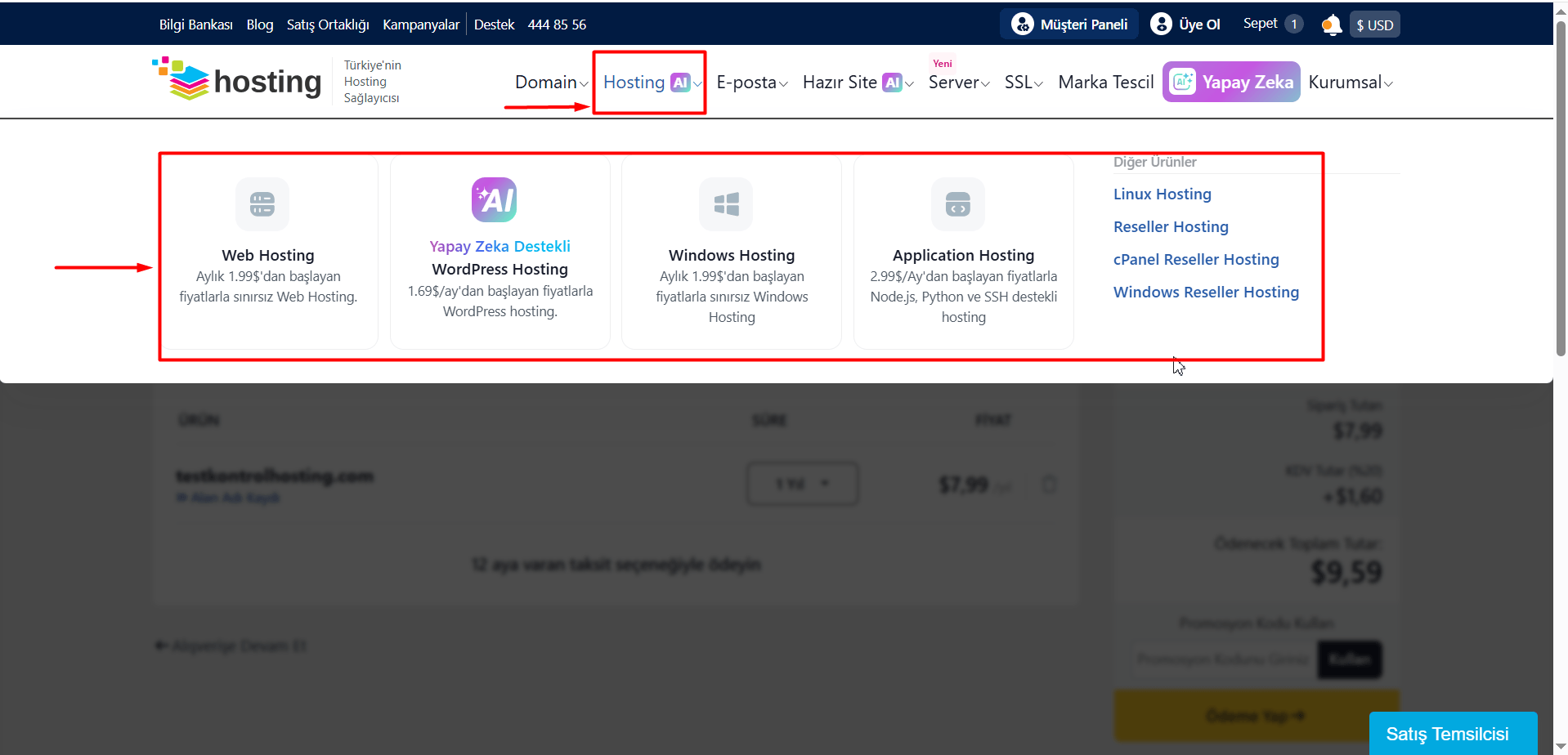 "Hosting" ifadesinin üzerine gelin. Açılan listeden hangi ürünü almak istiyorsanız üzerine tıklayın.