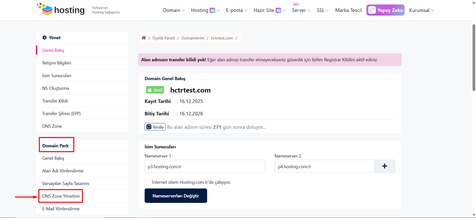 "Domain Park > DNS Zone Yönetimi" butonuna tıklayın.