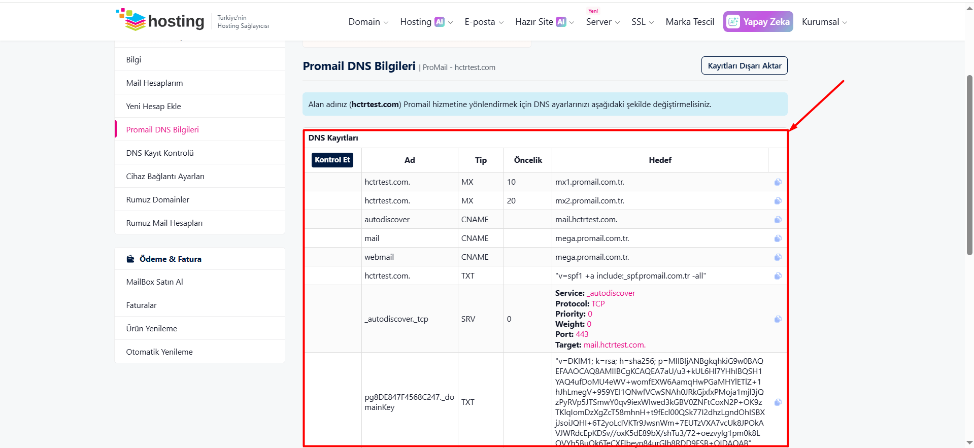 Açılan sayfada, ProMail hizmetiniz ile ilgili DNS kayıtlarını göreceksiniz.