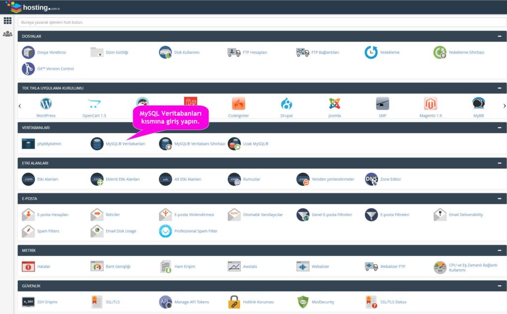 cpanel genel görünüm