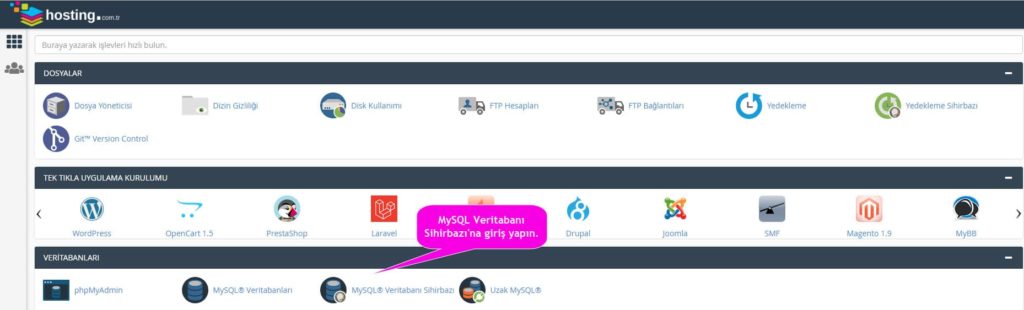 cpanel genel görünüm