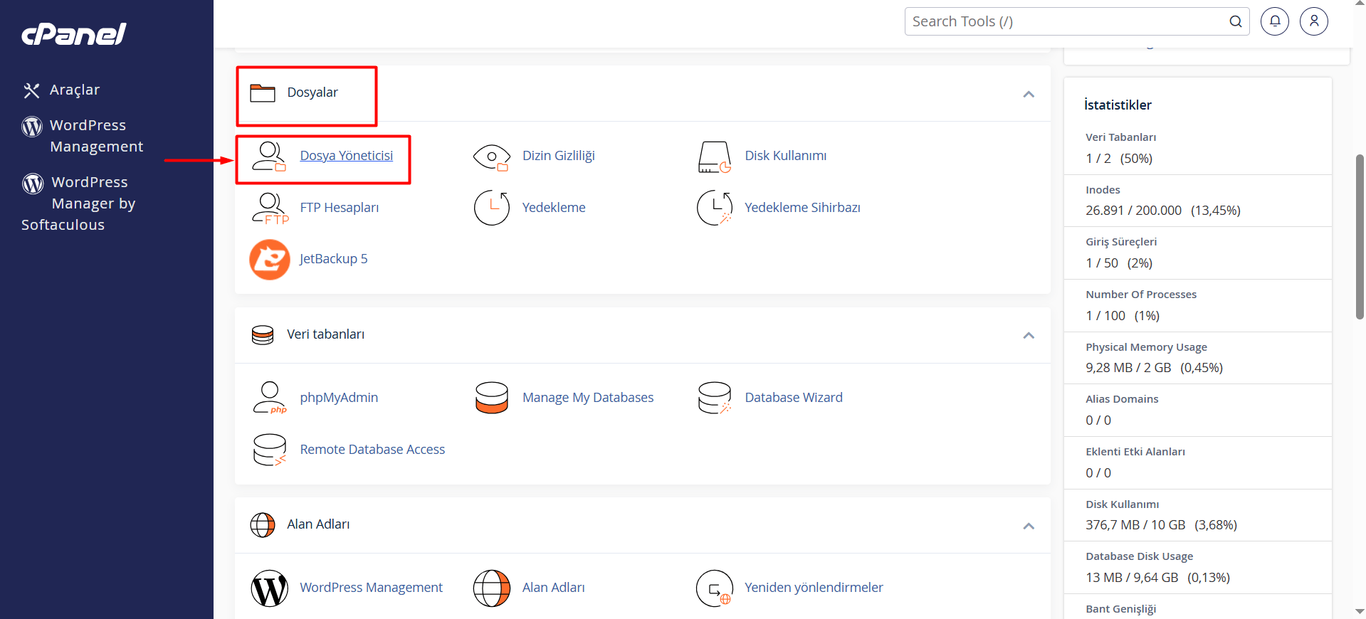 cPanel'de "Dosyalar > Dosya Yöneticisi" butonuna tıklayın.