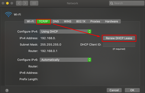 "TCP/IP" sekmesinde bulunan "DHCP Kirasını Yenile (Renew DHCP Lease)" butonuna tıklayın.