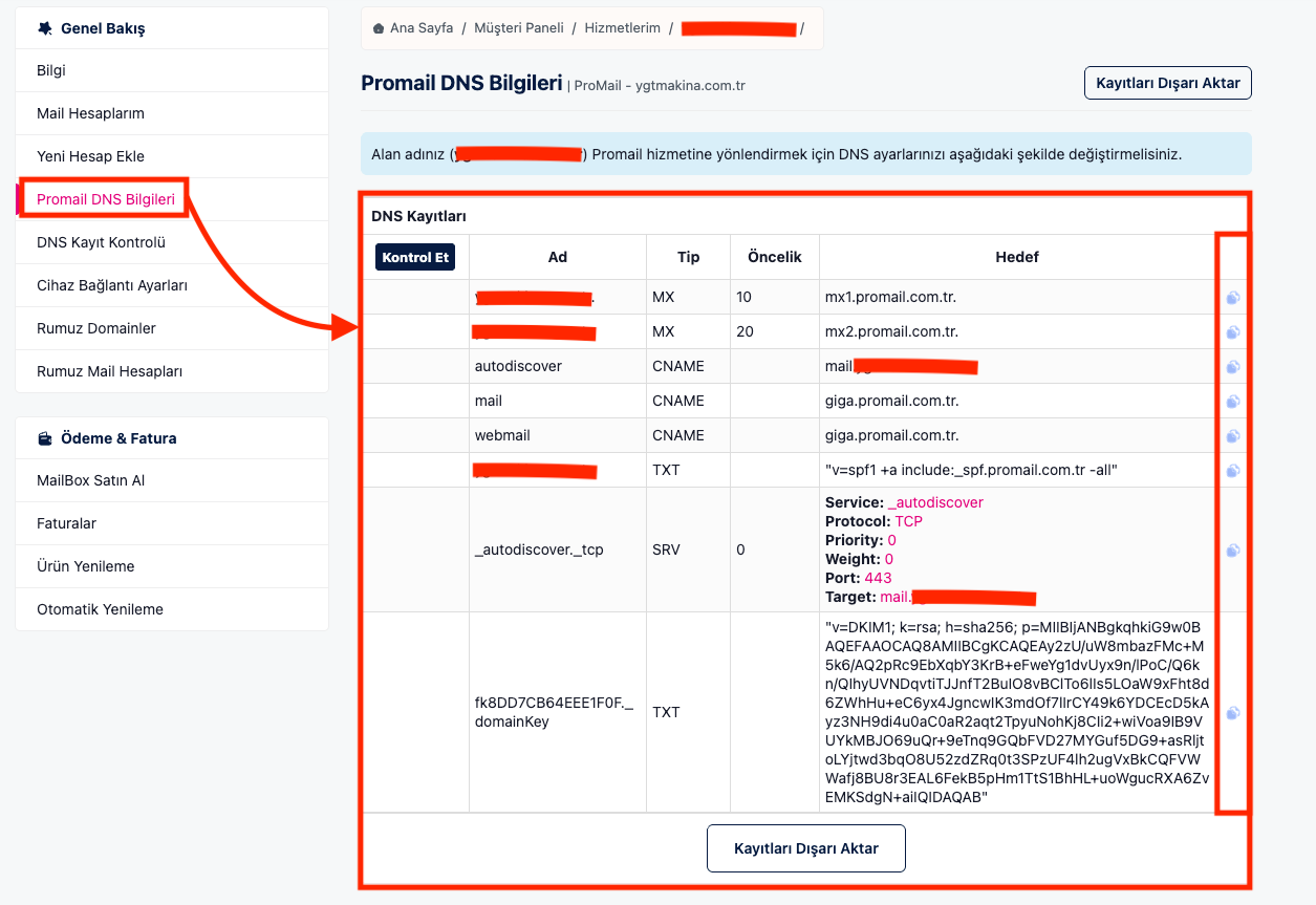 Promail DNS Bilgileri alanına tıklayınız.