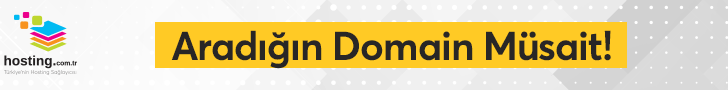 Domain Sorgulama