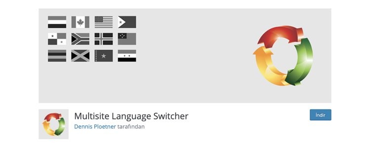 Multisite Language Switcher