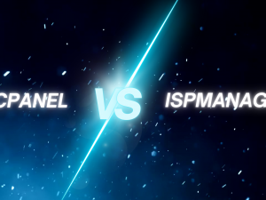 Ispmanager ve cPanel: 2025 Fiyat/Performans Karşılaştırması